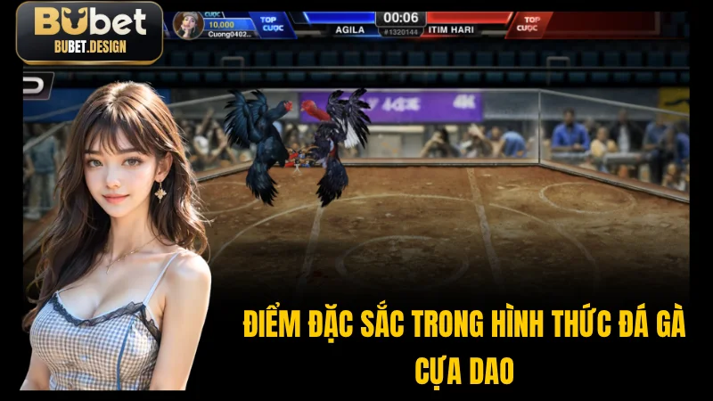 Chiến kê đá gà cựa dao sắc bén trong đấu trường