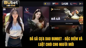 Đá Gà Cựa Dao BUBET - Đặc Điểm Và Luật Chơi Cho Người Mới