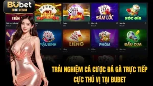 Trải Nghiệm Cá Cược Đá Gà Trực Tiếp Cực Thú Vị Tại BUBET